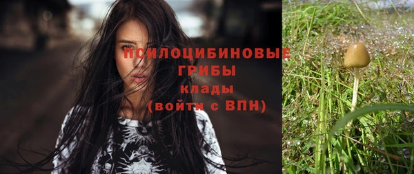 mdpv Верхний Тагил