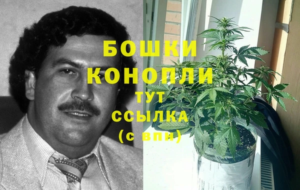 крисы Верея
