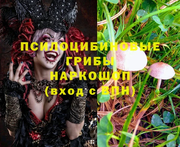mdpv Верхний Тагил