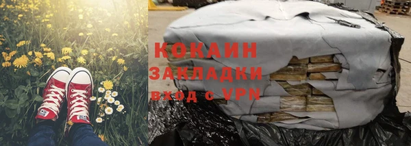 крисы Верея