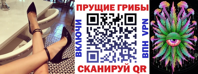 Купить закладки  Глазов  Галлюциногенные грибы Cubensis 